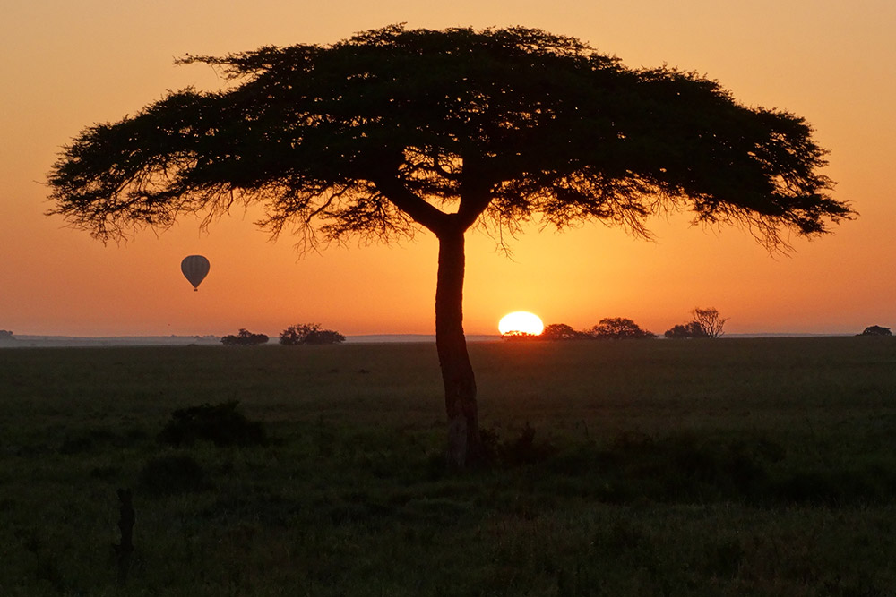 Ultimate Principle - Ultimate Wildlife Adventures
