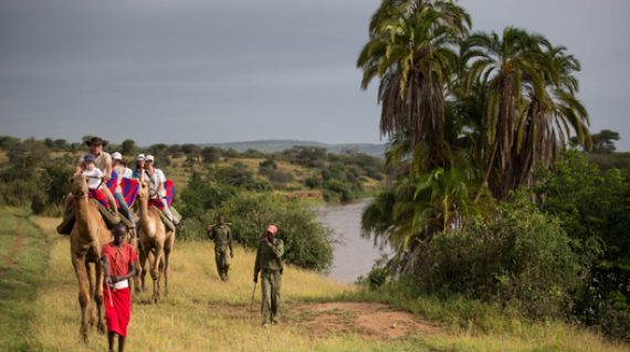 Camel trekking along the Ewaso Nyiro River